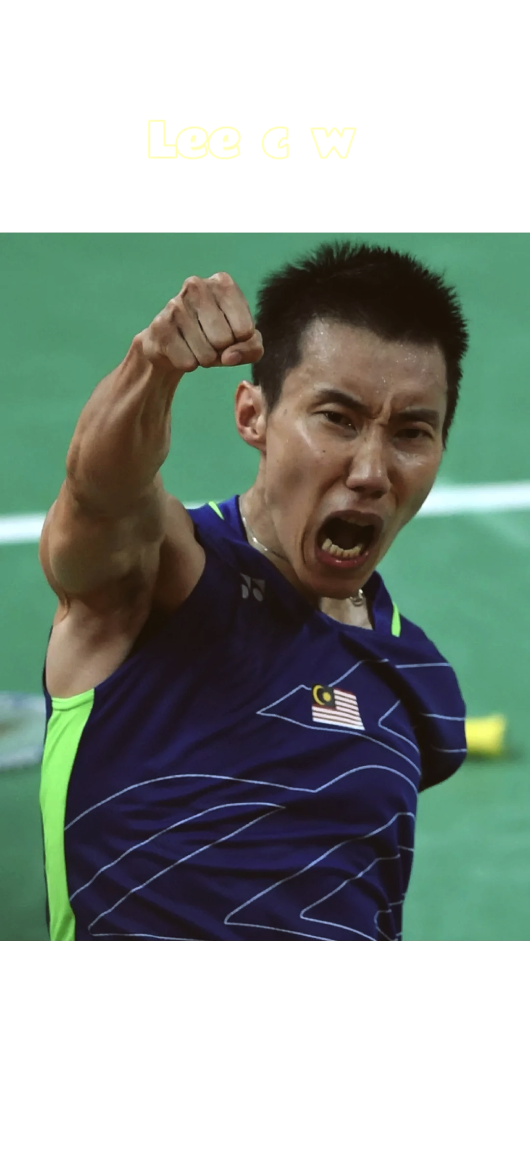 丹麦羽毛球队逆转印尼羽毛球队，李宗伟打破历史纪录的简单介绍