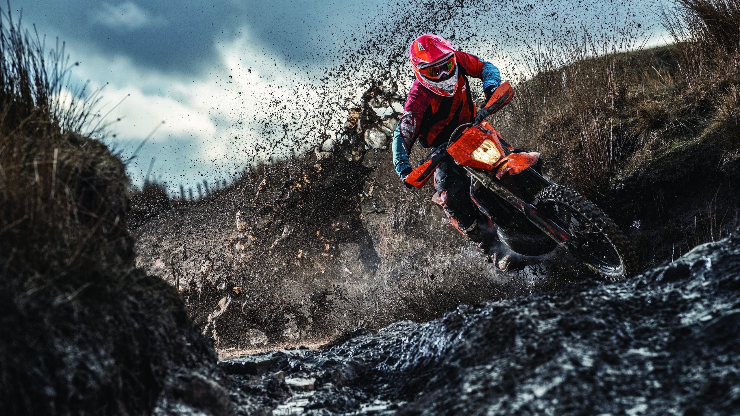 从明尼苏达到世界之巅，戈贝尔如何以森林狼的胜利为起点，在2026世界杯接管比赛